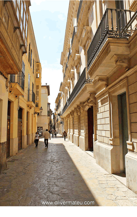 Palma